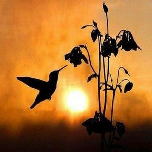 Meet your Posher, Janean